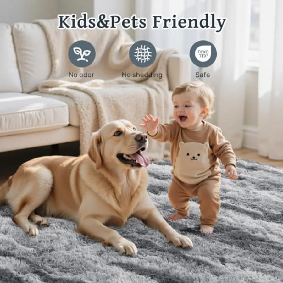 6x9 ft Fuzzy Rugs Non-Slip Carpet for Nursery Play Room Indoor Modern Plush Carpet