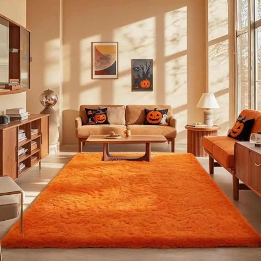 Orange Rugs 5x8 Fluffy Fuzzy Furry Carpet Plush Soft Shaggy Bedside Indoor Floor Area Rug for Girls/ Boy